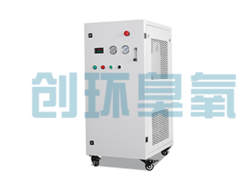 吕梁石斑鱼养殖水质调控完整指南：臭氧发生器配置与操作步骤