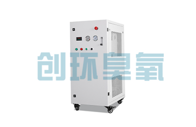 吕梁比传统换水更高效？臭氧发生器在石斑鱼养殖中的水质净化原理解析