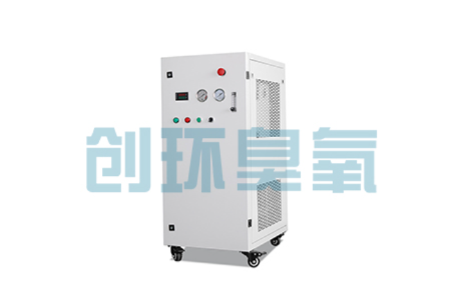 吕梁比传统换水更高效？臭氧发生器在石斑鱼养殖中的水质净化原理解析